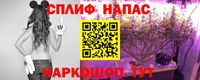 шишки Кинель