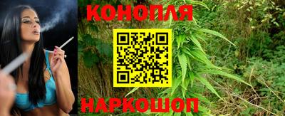 mix Кингисепп