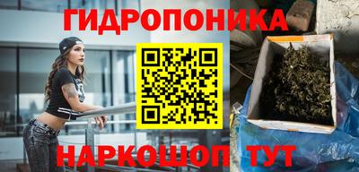 mix Кингисепп