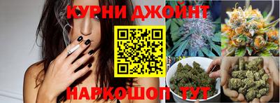 шишки Кинель