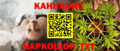 шишки Кинель