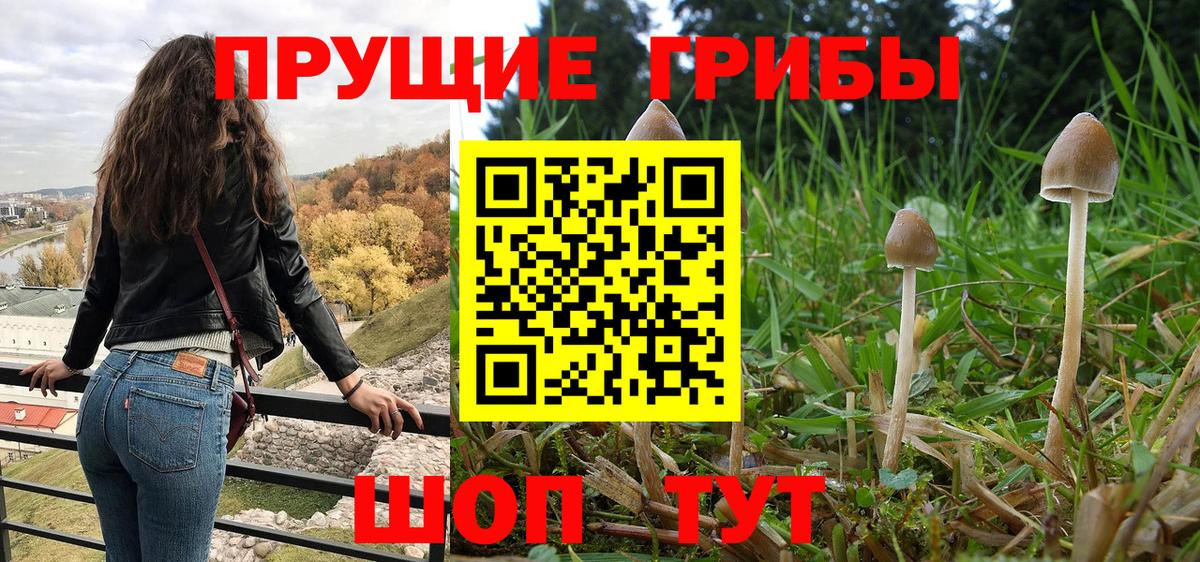 Галлюциногенные грибы мухоморы  Вход с VPN  Ярцево  Галлюциногенные грибы мухоморы 